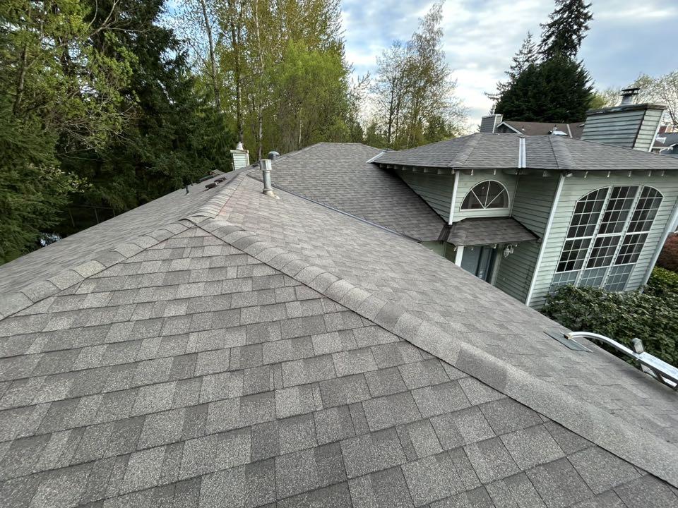SPF Construction shingle roofing — Pacific Northwest home surrounded by evergreens
